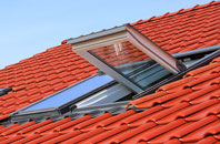 Gulworthy roof window